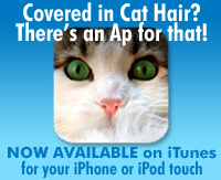 CiCH Icon Ad_c copy.jpg